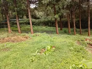 Prime Land for Sale Karen
