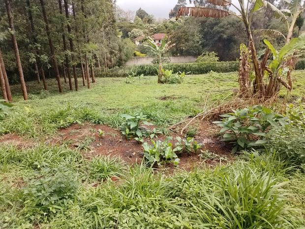 Prime Land for Sale Karen - thumbnail 3