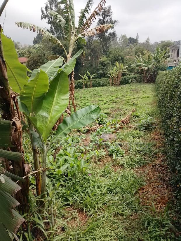 Prime Land for Sale Karen - thumbnail 5