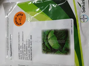 Victoria F1 Cabbage Hybrid 25g