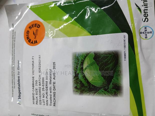 Victoria F1 Cabbage Hybrid 25g - main view