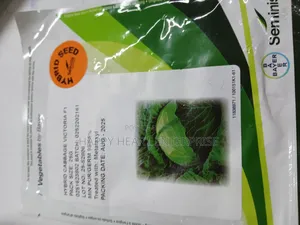 Victoria F1 Cabbage Hybrid 25g