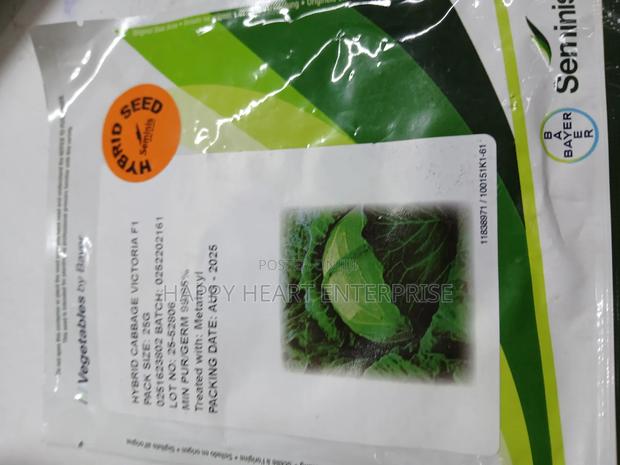 Victoria F1 Cabbage Hybrid 25g - thumbnail 3