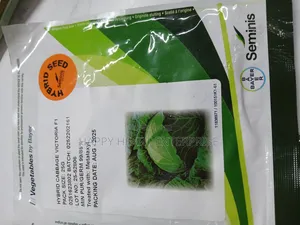 Victoria F1 Cabbage Hybrid 25g