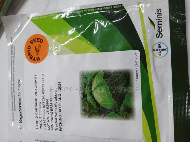 Victoria F1 Cabbage Hybrid 25g - thumbnail 4