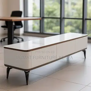 Entertainment Unit