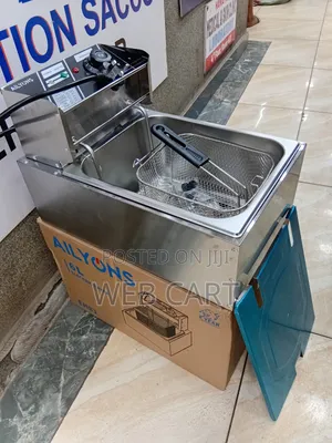 Ailyons 6l Stainless Steel Deep Fryer