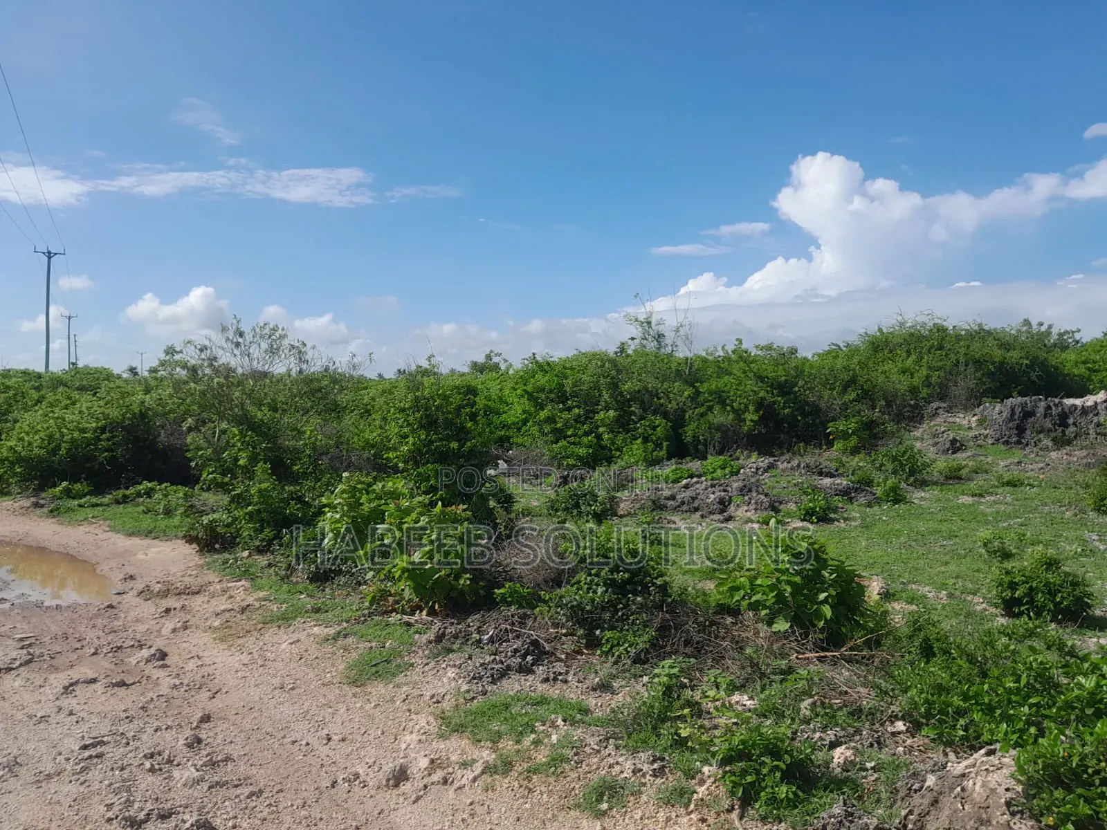 Watamu - 1/4 Acre Plots for Sale