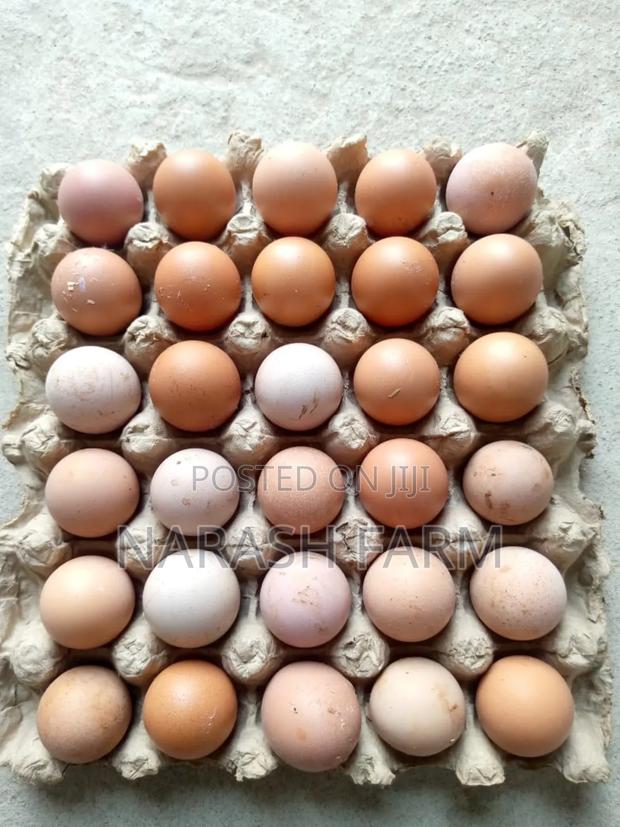 Mayai Fresh From The Farm - thumbnail 3