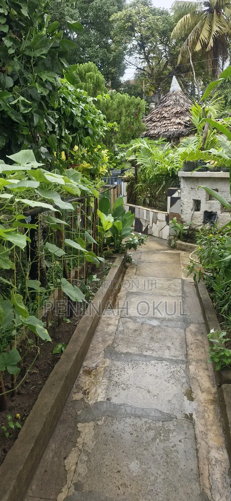 1bdrm Bungalow in Zebra Community, Mtwapa for rent