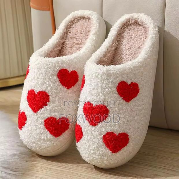 Cozy Indoors Shoes