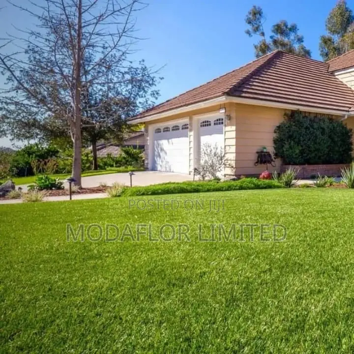 Upgrade Your Space Instantly Grass Carpet