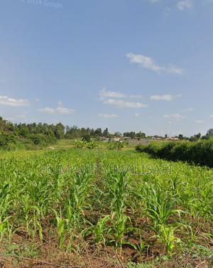 Multipurpose 5 Acres Land, Behind Wanguru Stadium, 300m From Tarmac - thumbnail 2
