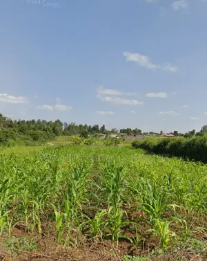 Multipurpose 5 Acres Land, Behind Wanguru Stadium, 300m From Tarmac