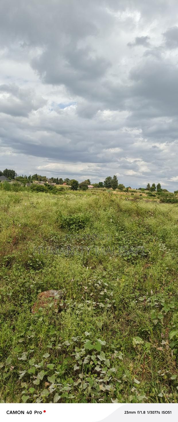 Multipurpose 5 Acres Land, Behind Wanguru Stadium, 300m From Tarmac - thumbnail 4