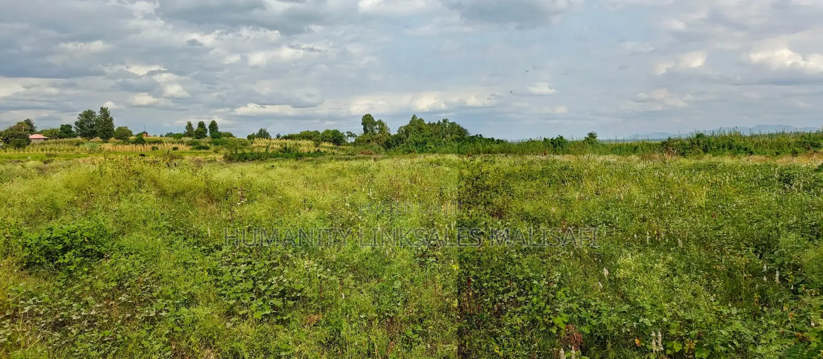 Multipurpose 5 Acres Land, Behind Wanguru Stadium, 300m From Tarmac