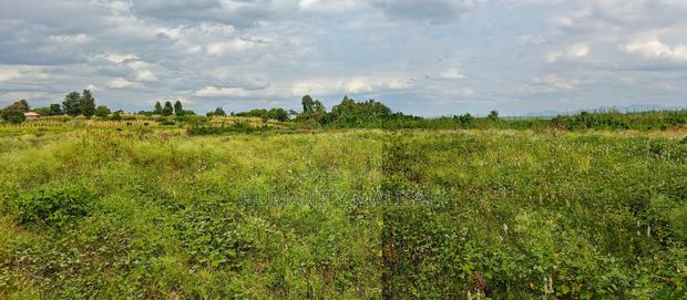 Multipurpose 5 Acres Land, Behind Wanguru Stadium, 300m From Tarmac - thumbnail 5