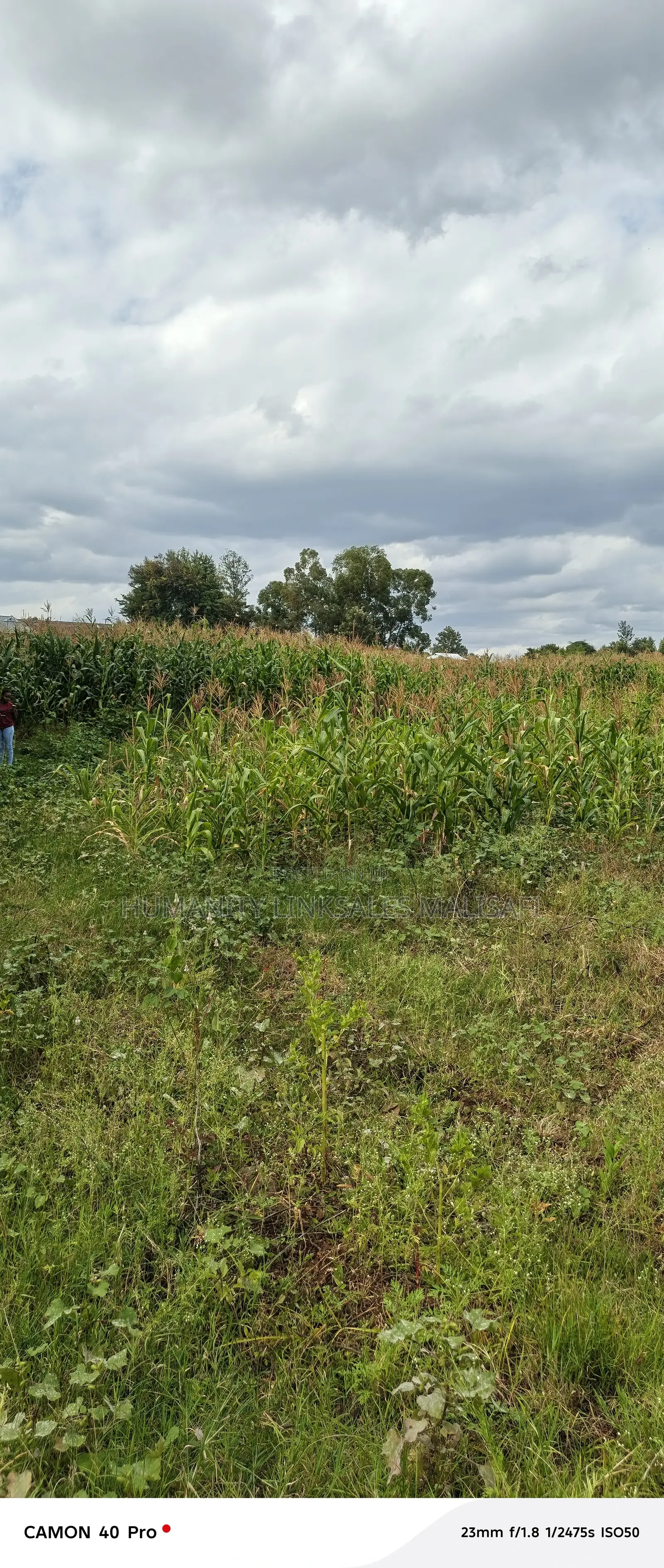 Multipurpose 5 Acres Land, Behind Wanguru Stadium, 300m From Tarmac