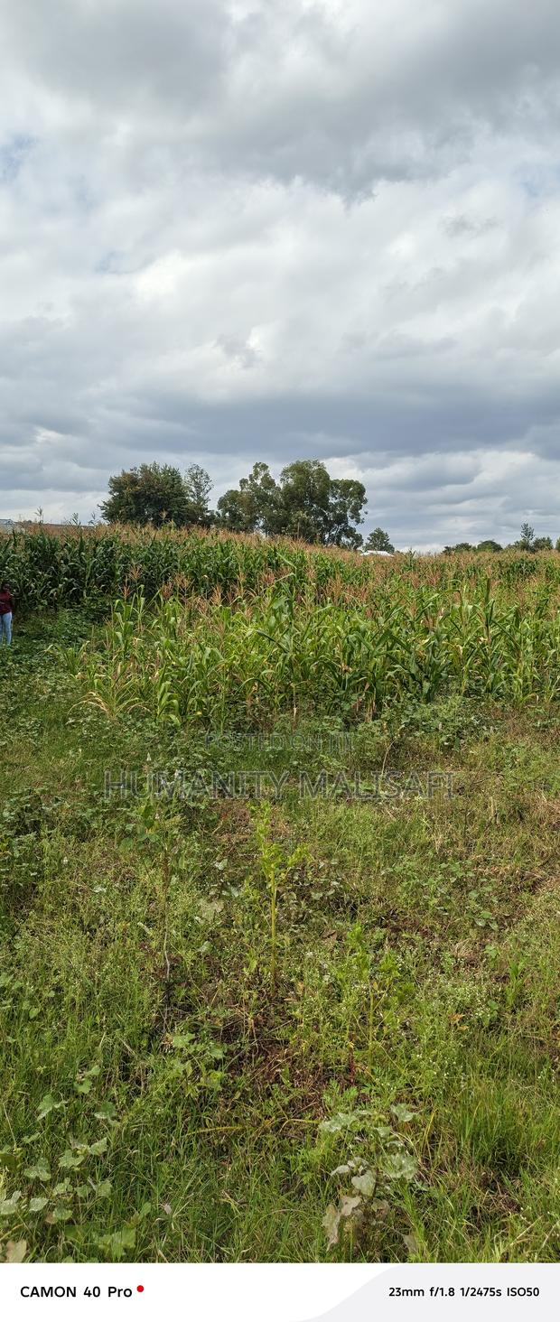 Multipurpose 5 Acres Land, Behind Wanguru Stadium, 300m From Tarmac - thumbnail 9