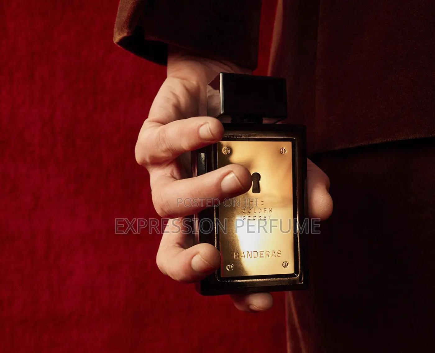 Antonio Banderas the Golden Secret