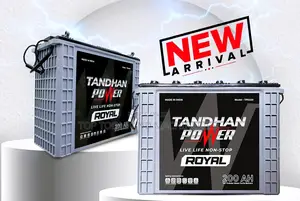 Tandhan Power Royal Tall Tubular Solar Battery (12 v / 200 Ah)