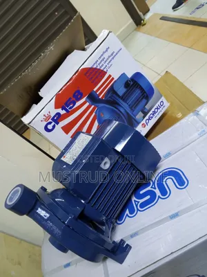 Electric CPM 158 Pedrollo Water Pump