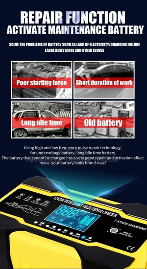 Automatic Universal Battery Repair Charger 12v/24v