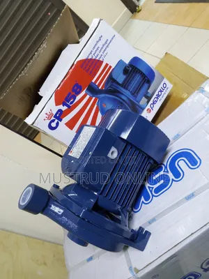 90l Pedrollo Water Pump
