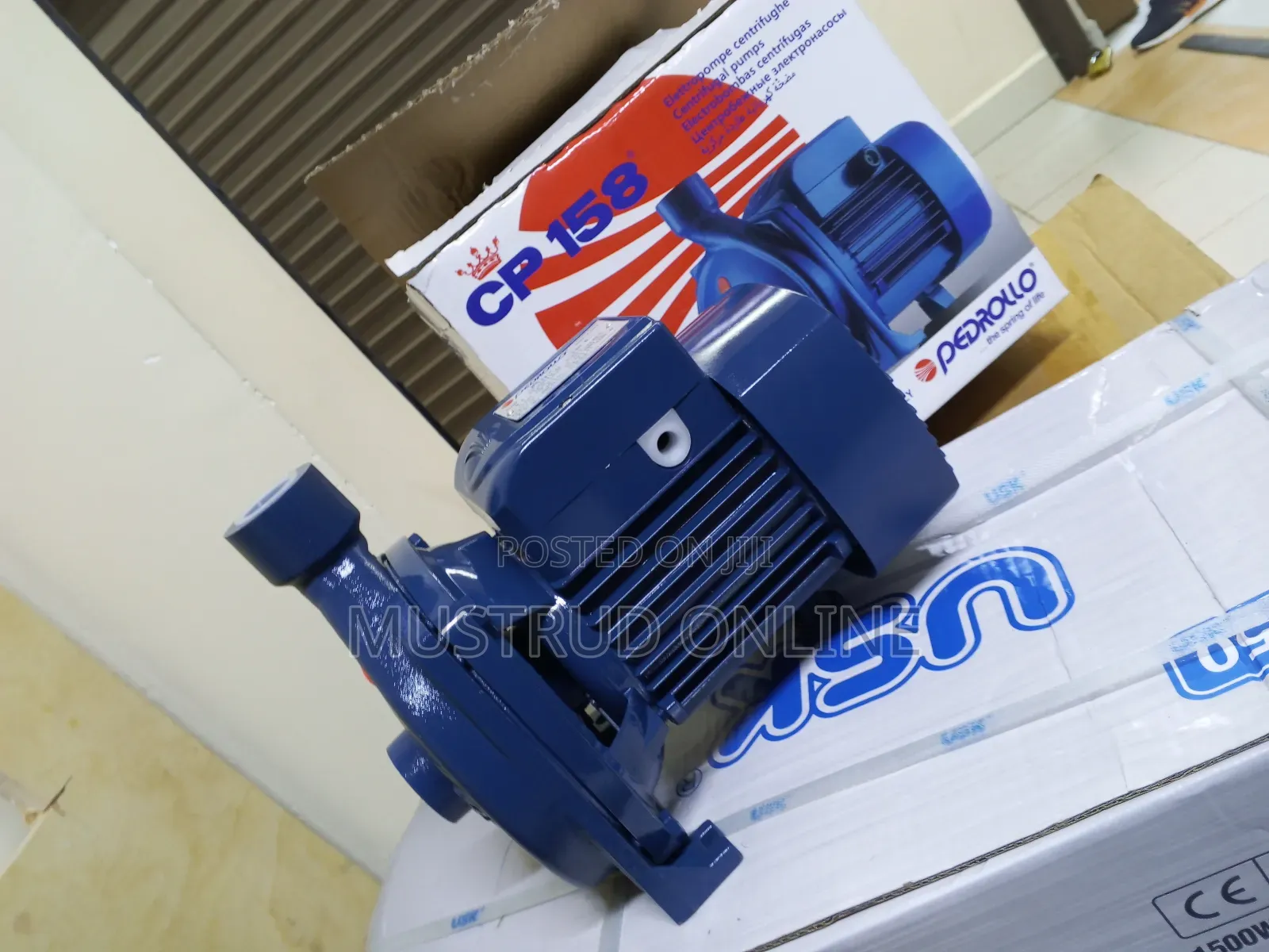 1 Hp Pedrollo Surface Pump