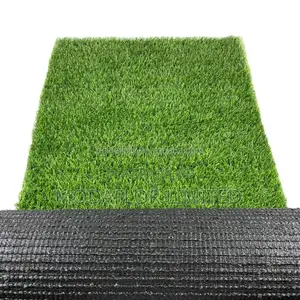 Affordable Artificial Grass Carpet – Save Water, Stay Green
