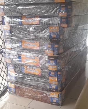 4by6 8inches Mediam Destiny Plain Morning Glory - thumbnail 2