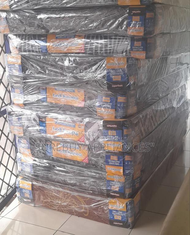 4by6 8inches Mediam Destiny Plain Morning Glory - main view