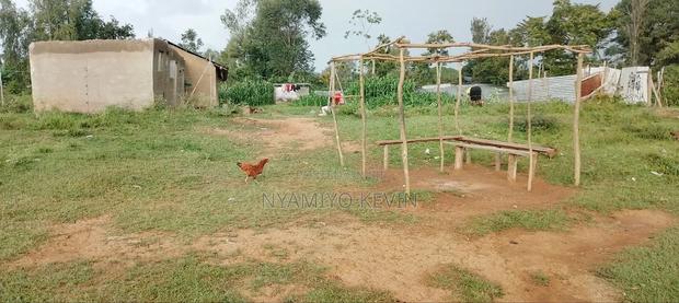 Ugunja Near Camunya Hotel