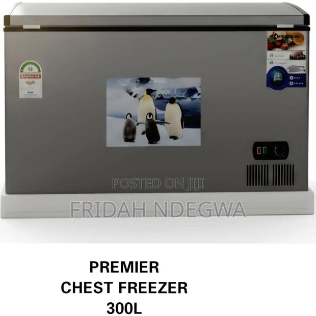 Premier Chest Freezer 300l