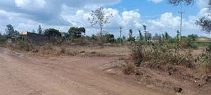 50x100 Prime Plot for Sale at Githima in Thika East
