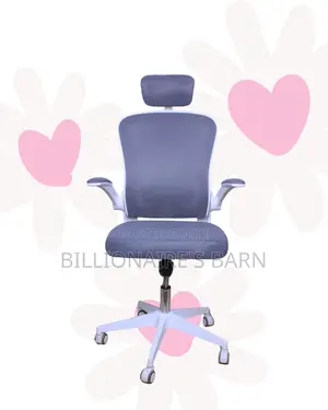 Space-Saving Backrest Chair Ergonomic Mesh | Perfect for Home Office