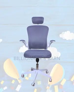 Executive — Durable Strong Ergonomic Chair | Same-Day Delivery