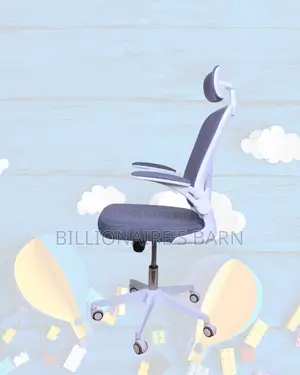 Executive — Durable Strong Ergonomic Chair | Same-Day Delivery