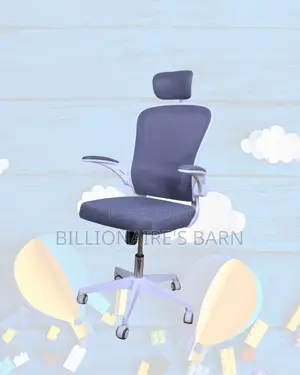 Executive — Durable Strong Ergonomic Chair | Same-Day Delivery