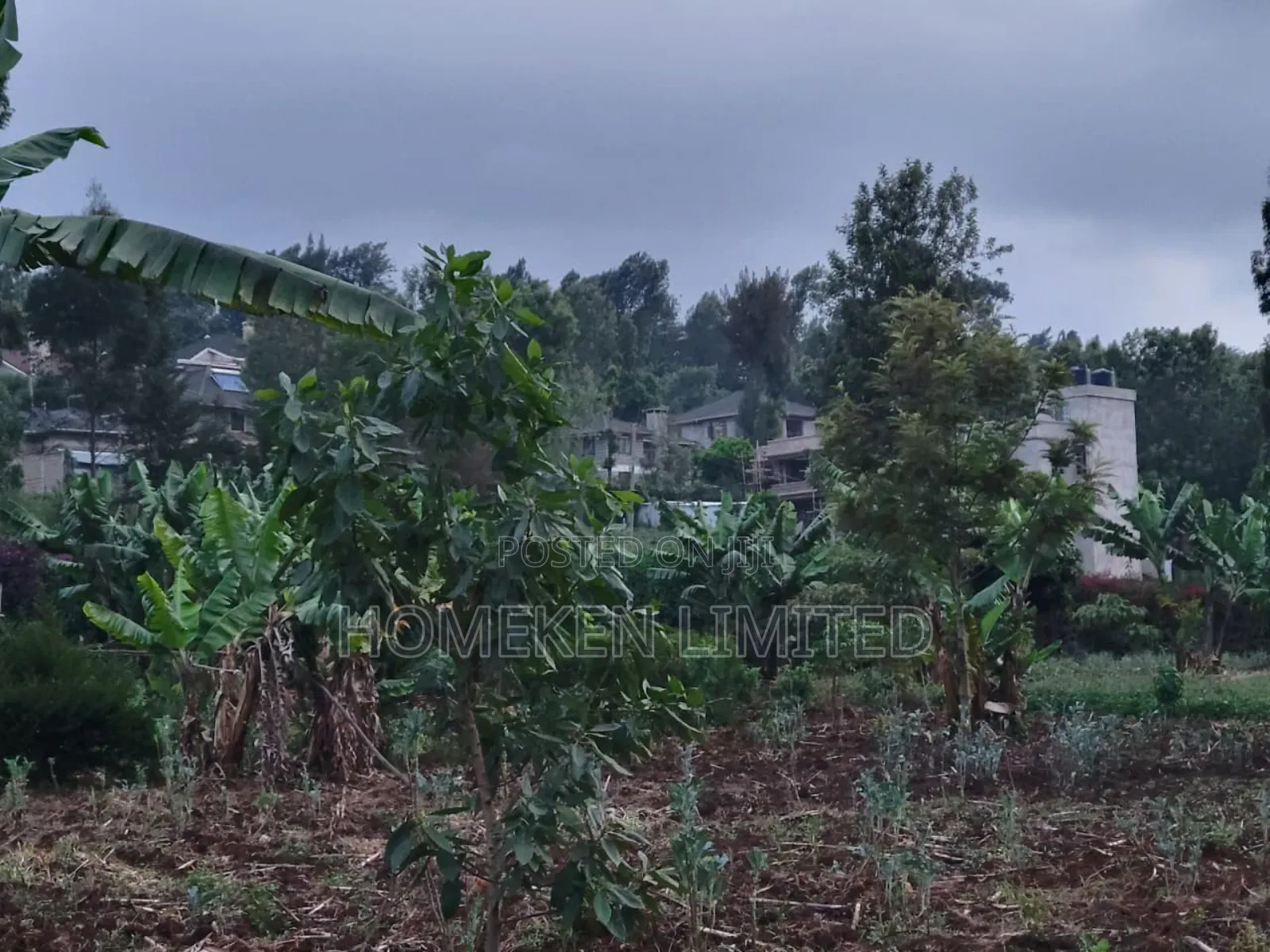 Quarter Acre Plot for Sale in Ngong