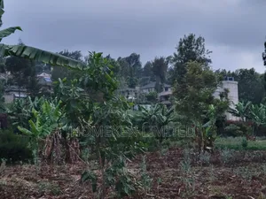Quarter Acre Plot for Sale in Ngong