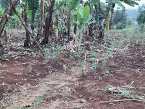 Quarter Acre Plot for Sale in Ngong