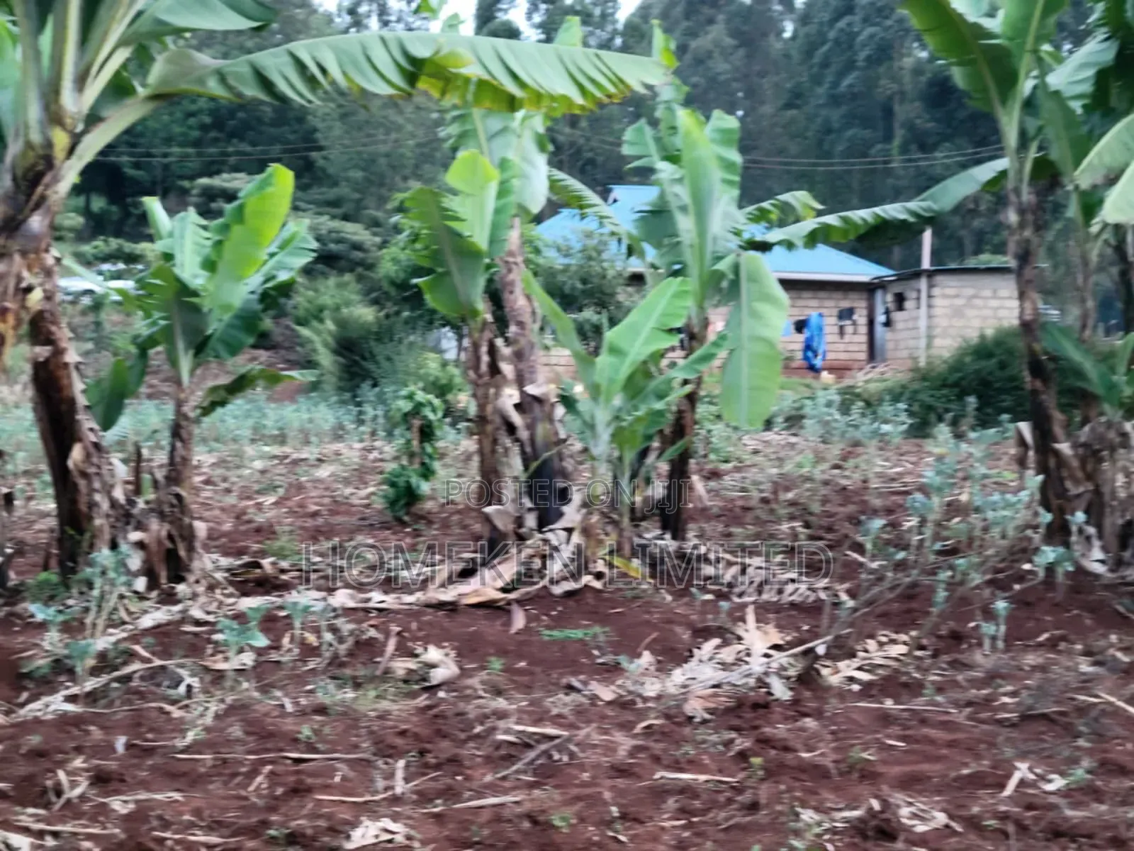 Quarter Acre Plot for Sale in Ngong