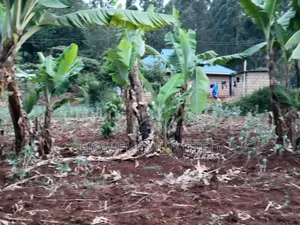 Quarter Acre Plot for Sale in Ngong