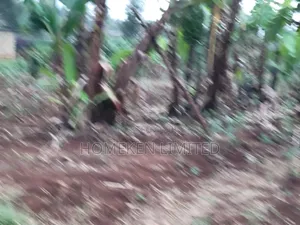 Quarter Acre Plot for Sale in Ngong