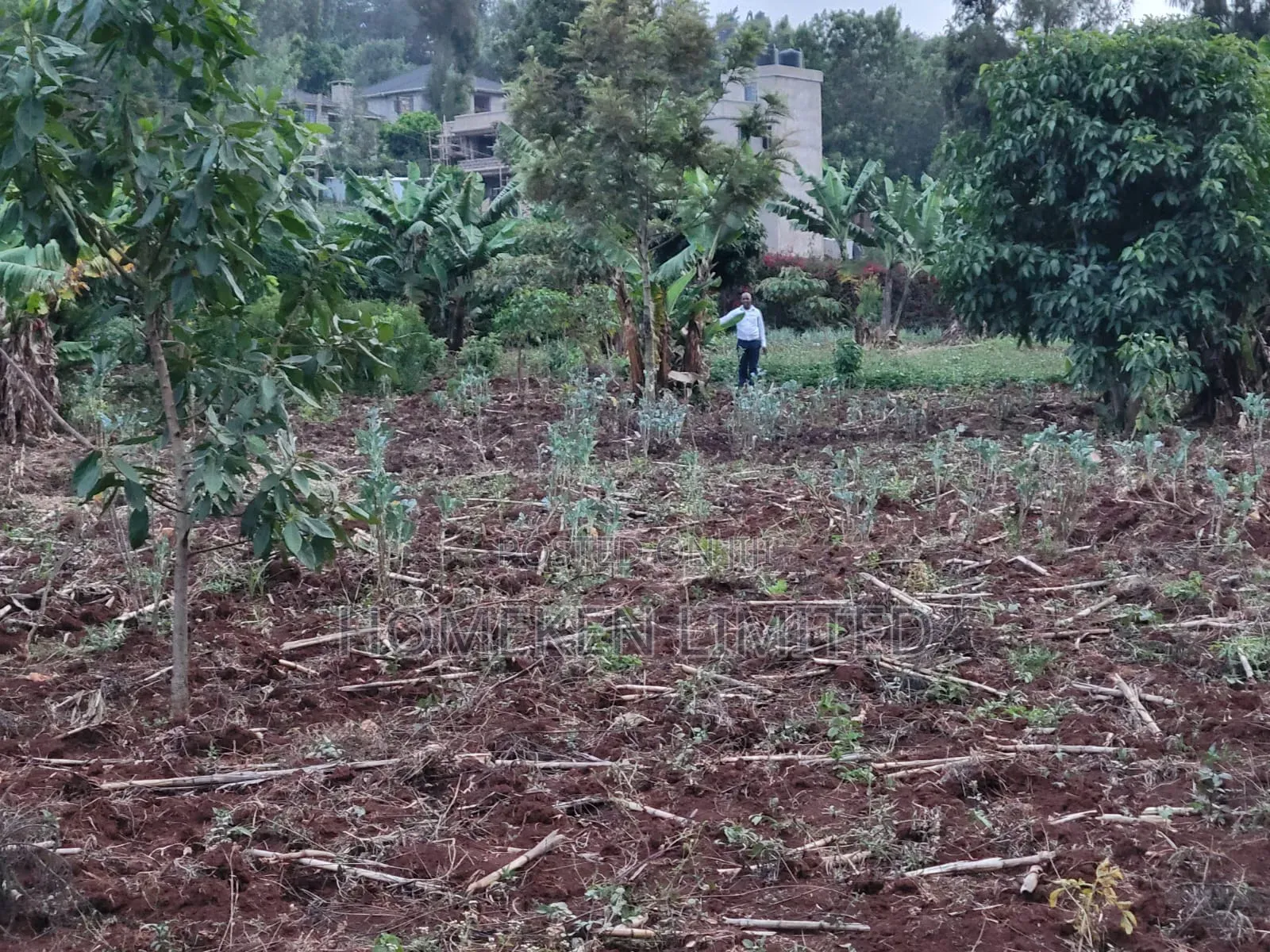 Quarter Acre Plot for Sale in Ngong