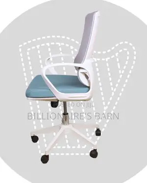 Premium Mesh Ergonomic Office Frame | Order Yours Today