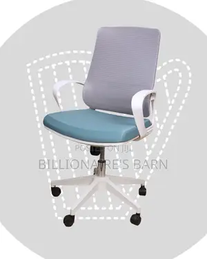 Premium Mesh Ergonomic Office Frame | Order Yours Today