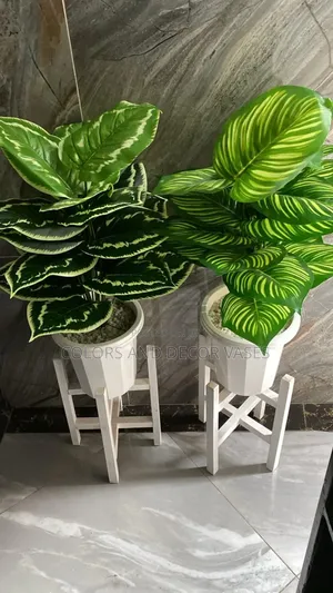 Interior Decor Plants in Vase and Stands