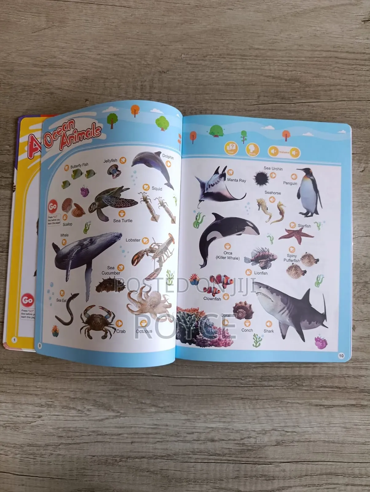 Interactive English Words Sound Book